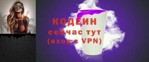 молекула духа Каменка
