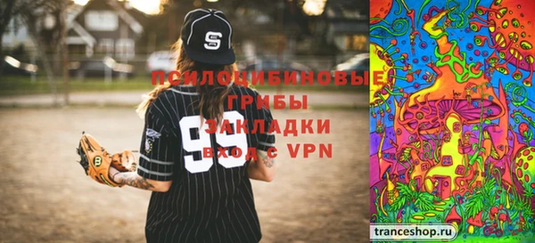 молекула духа Каменка