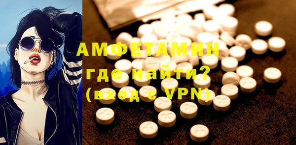 молекула духа Каменка
