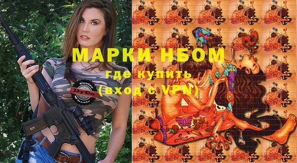 молекула духа Каменка