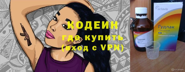 молекула духа Каменка