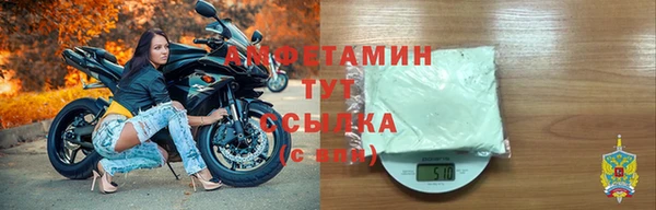 молекула духа Каменка