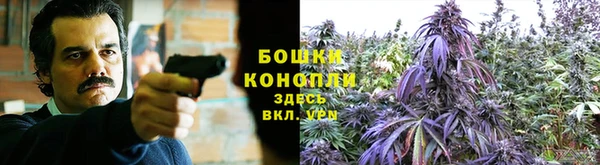 синтетический гашиш Каменногорск
