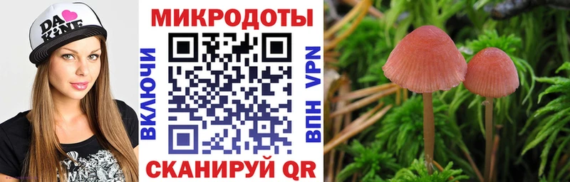 Псилоцибиновые грибы мухоморы Биробиджан